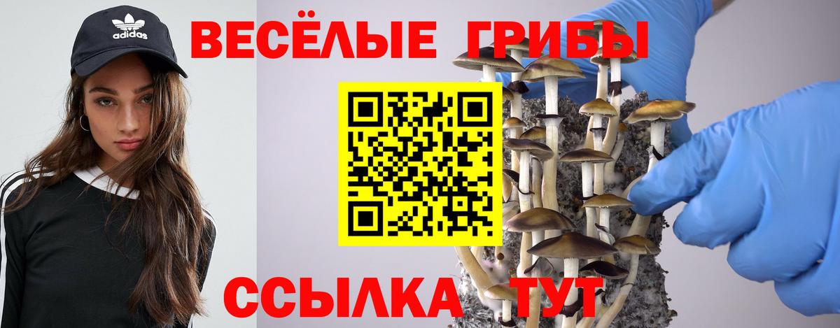наркота  Галлюциногенные грибы Psilocybe  Урай  Вход с VPN  Галлюциногенные грибы Psilocybe 